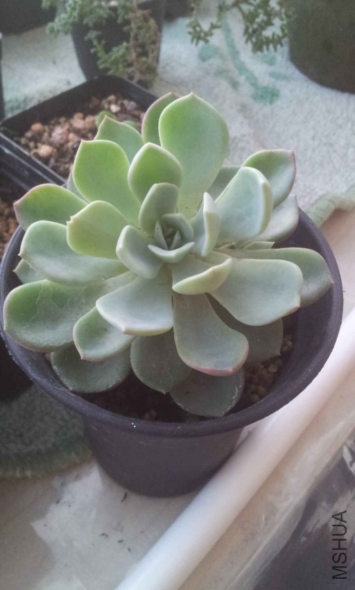 2013-10-28 16.44.29.jpg