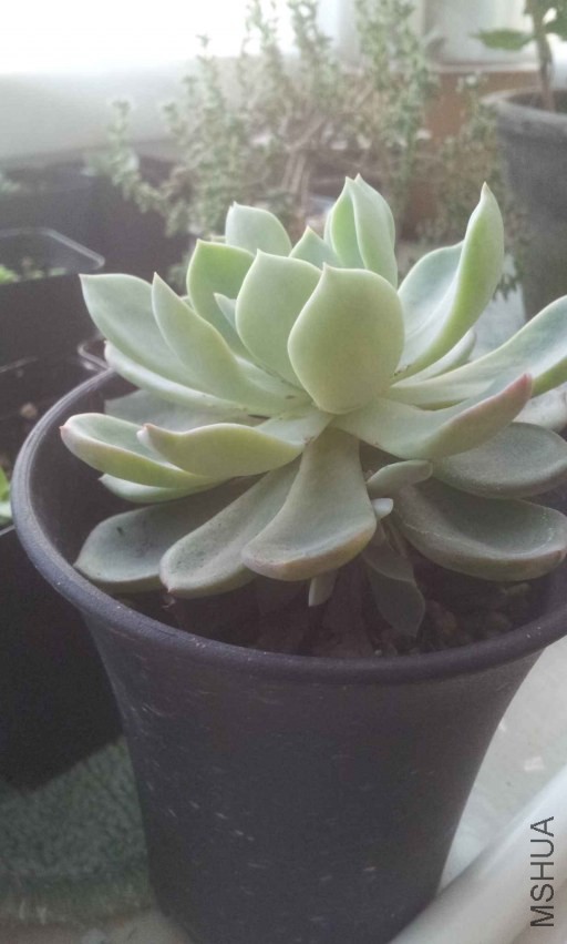 2013-10-28 16.44.44.jpg
