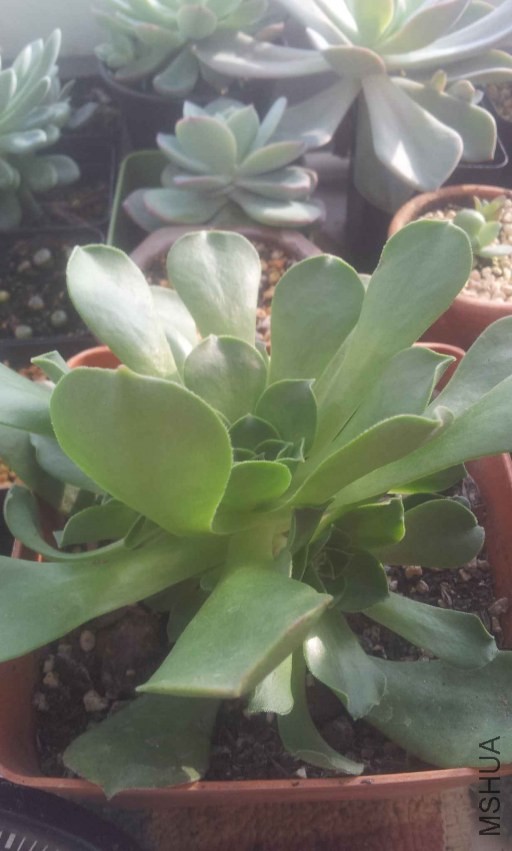 2013-12-10 14.53.37.jpg