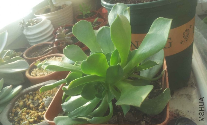 2013-12-10 14.53.51.jpg