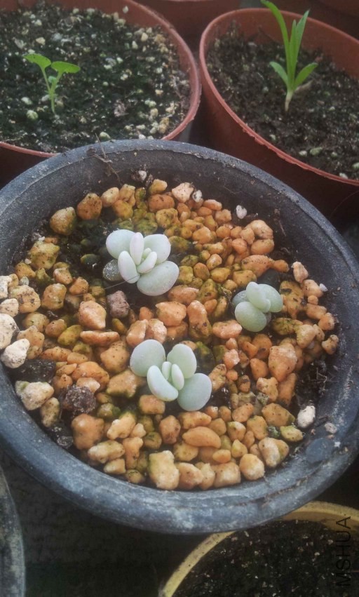 2013-12-10 14.54.25.jpg