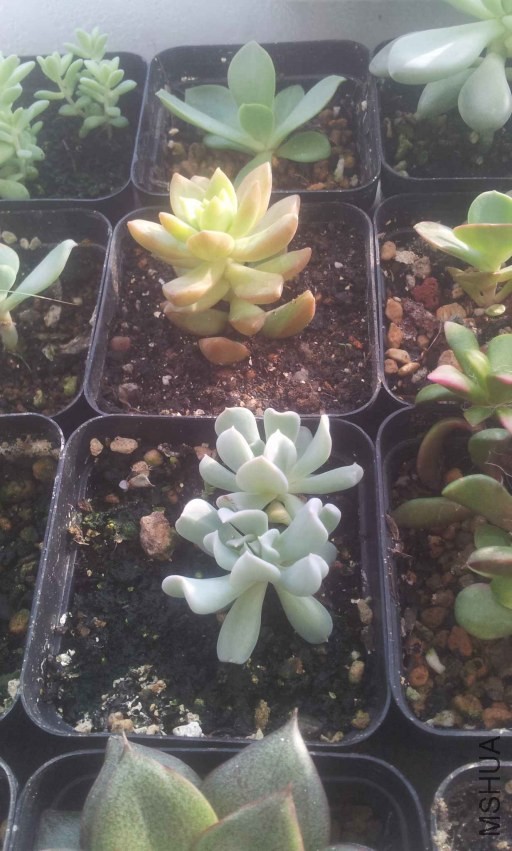 2013-12-10 14.55.22.jpg