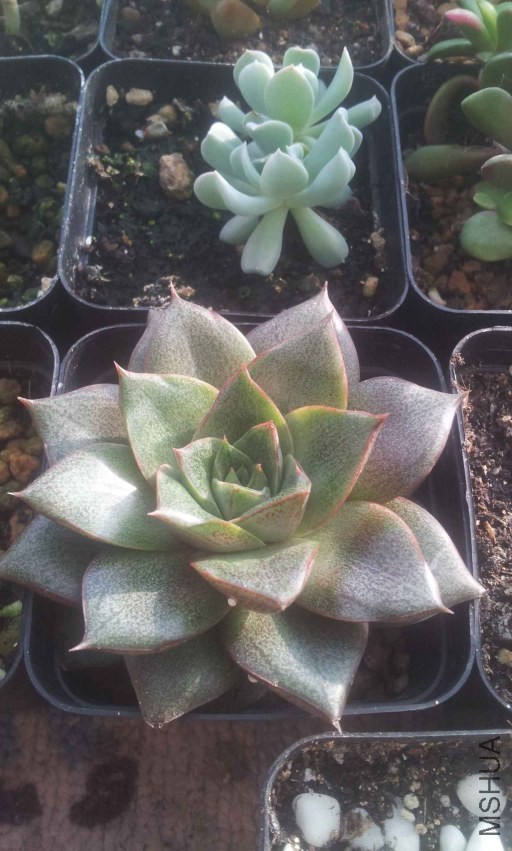 2013-12-10 14.55.51.jpg