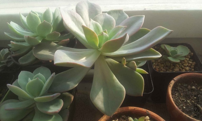 2013-12-10 14.56.13.jpg