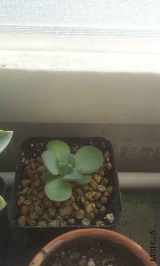2013-12-10 14.56.21.jpg