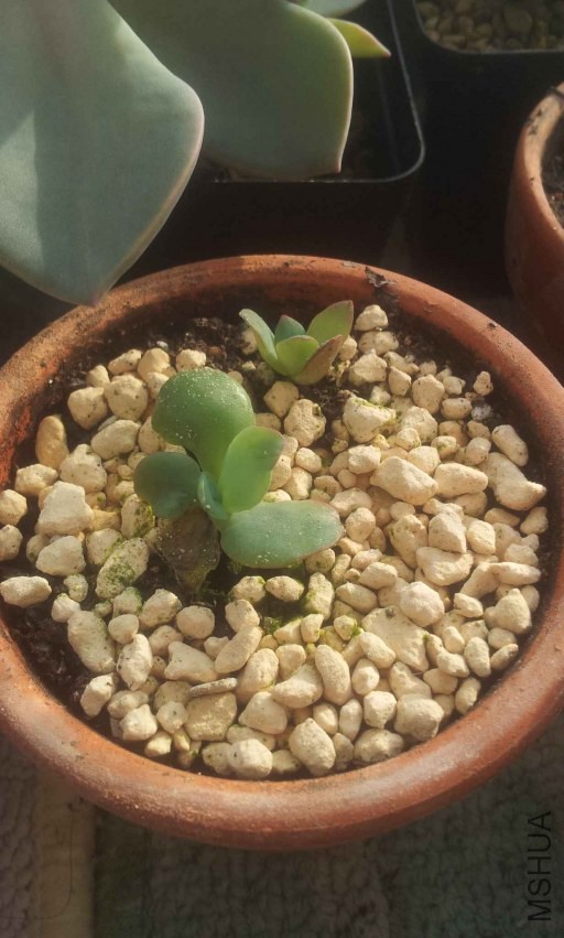 2013-12-10 14.57.36.jpg