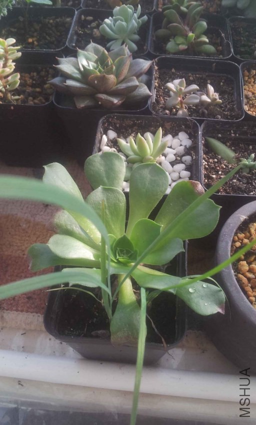 2013-12-10 14.58.19.jpg