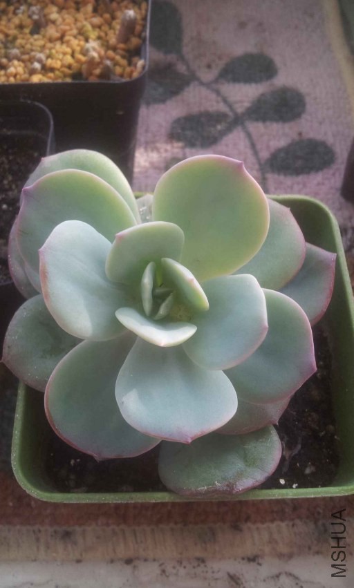 2013-12-10 14.58.39.jpg