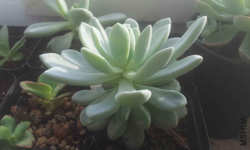 2013-12-10 14.59.05.jpg