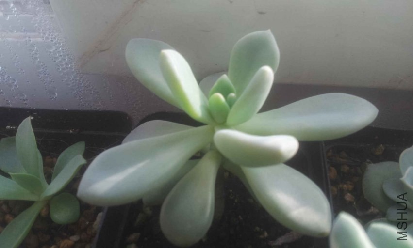 2013-12-10 14.59.23.jpg