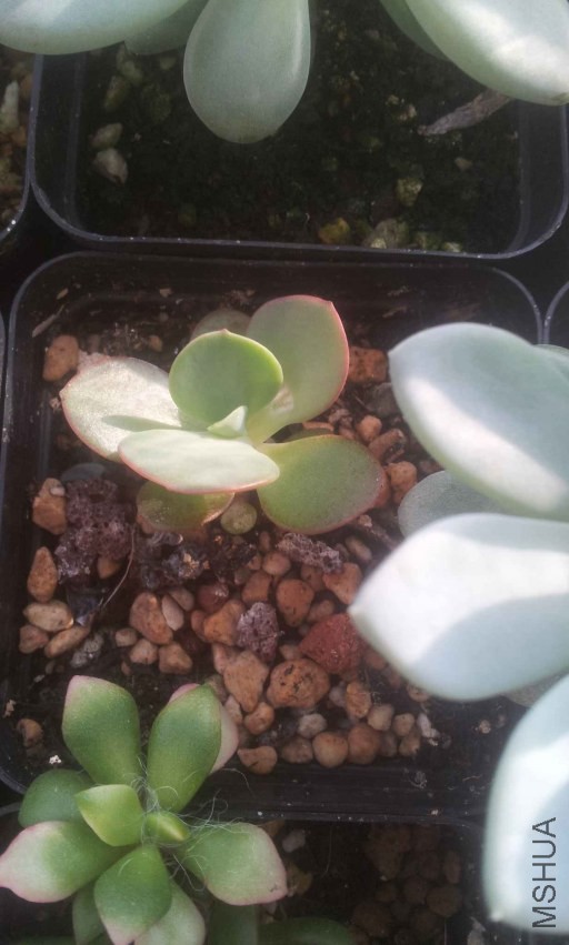 2013-12-10 14.59.39.jpg