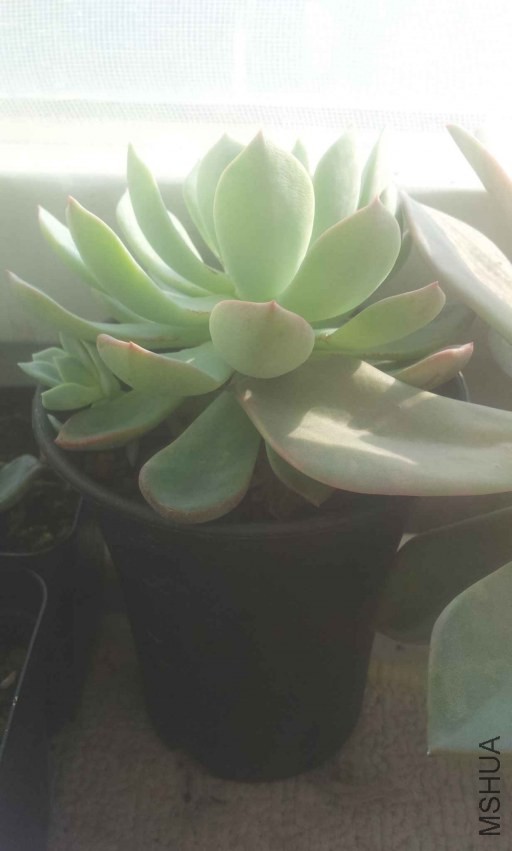 2013-12-10 15.00.14.jpg