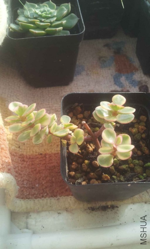 2013-12-10 15.00.39.jpg