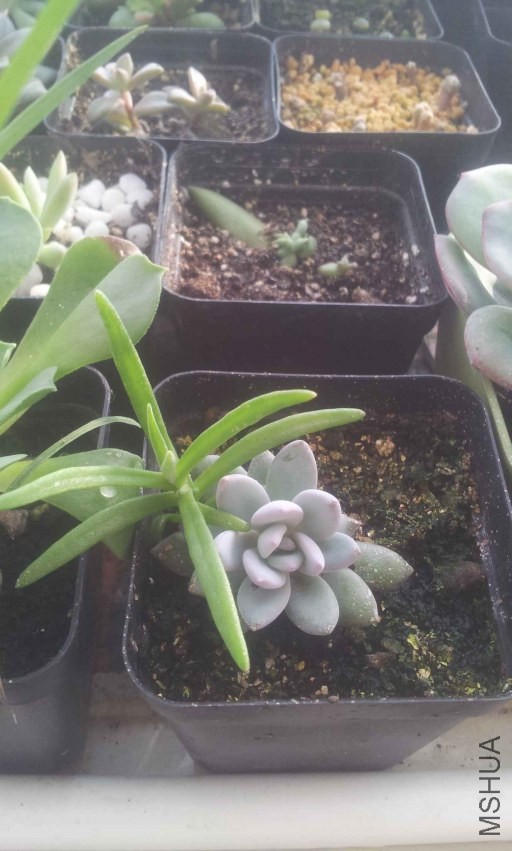 2013-12-10 15.01.59.jpg