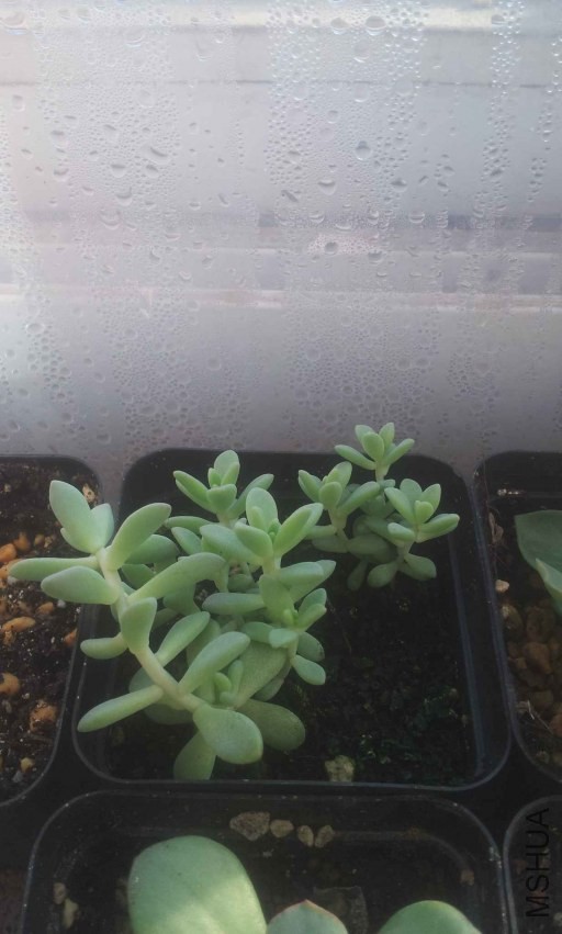 2013-12-10 15.02.16.jpg