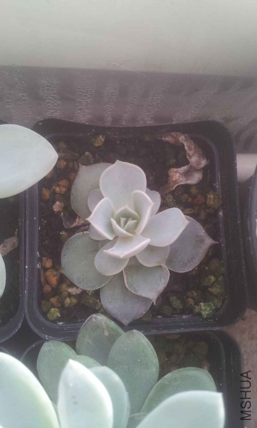 2013-12-10 15.02.24.jpg