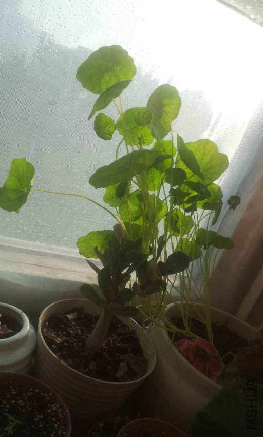 2013-12-10 15.02.39.jpg