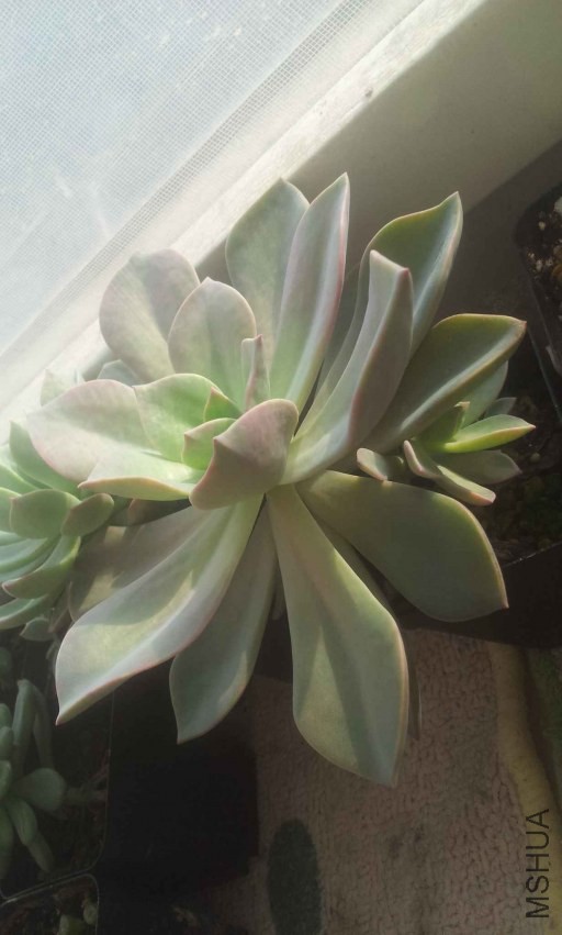 2013-12-10 15.04.58.jpg
