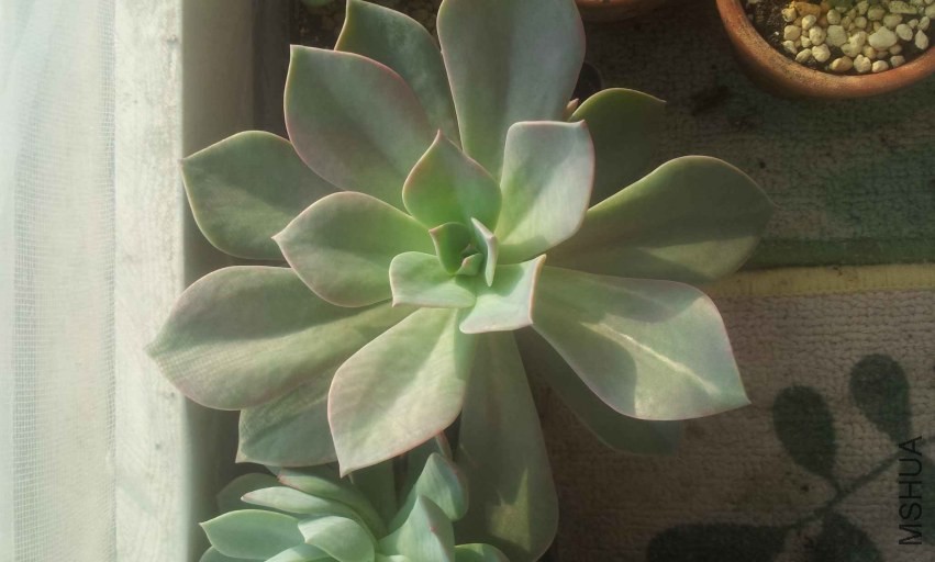 2013-12-10 15.05.16.jpg