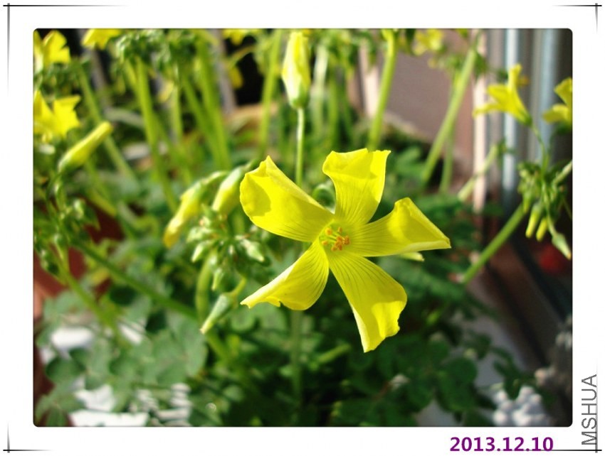 DSC07414.JPG