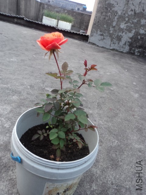 DSC01279.JPG