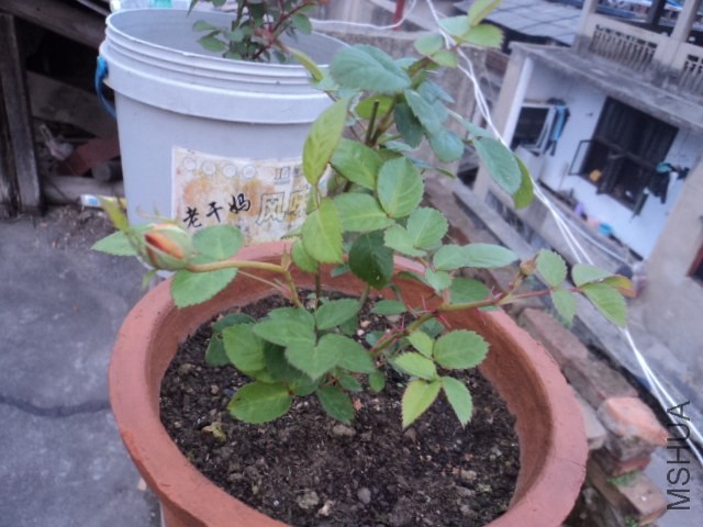 DSC01280.JPG