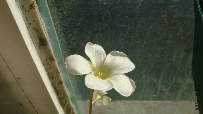 DSC01789.jpg