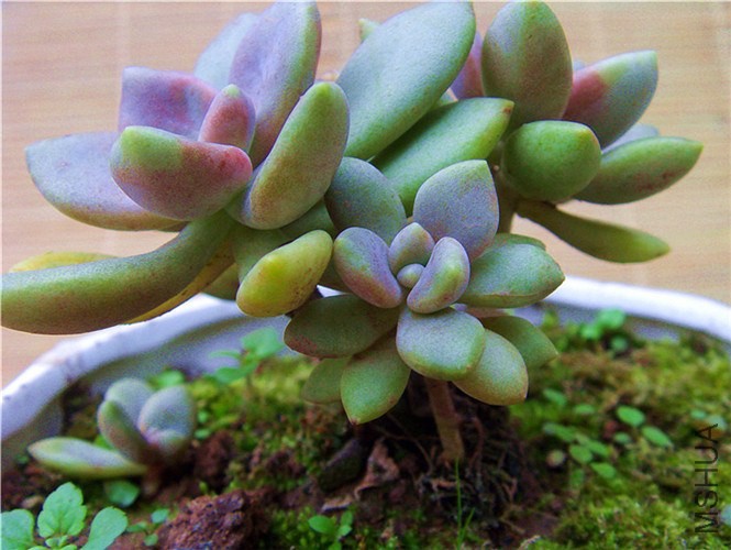 S73F0631.jpg
