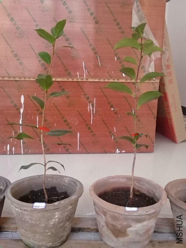 QQ20131211082650 (1).jpg