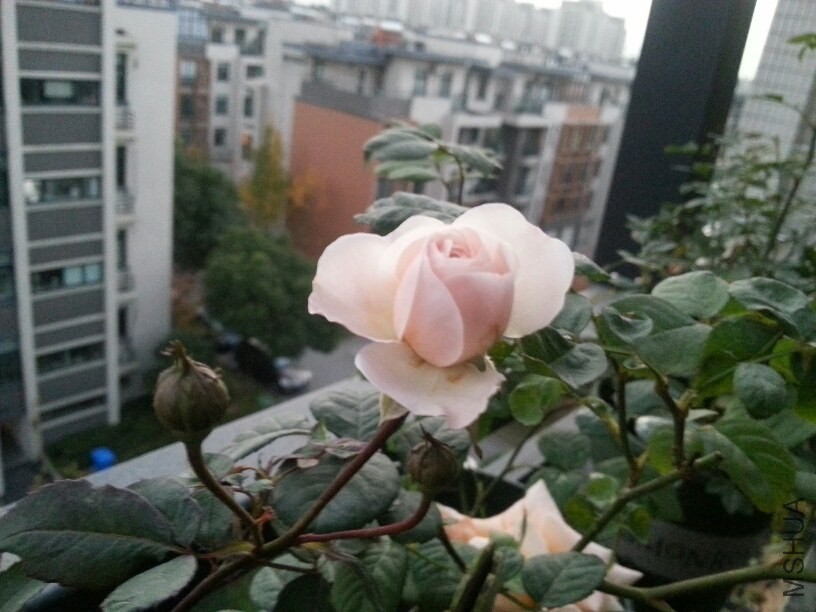 20131125_170911_resized.jpg