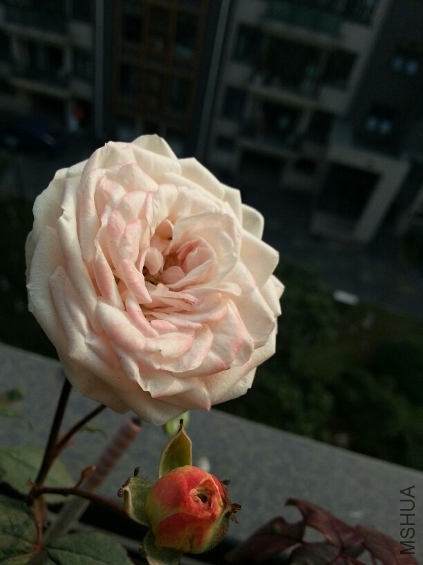 20131208_143015_resized.jpg