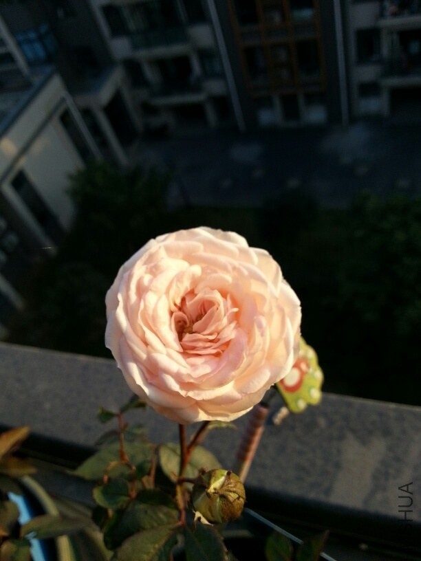 20131130_161021_resized.jpg