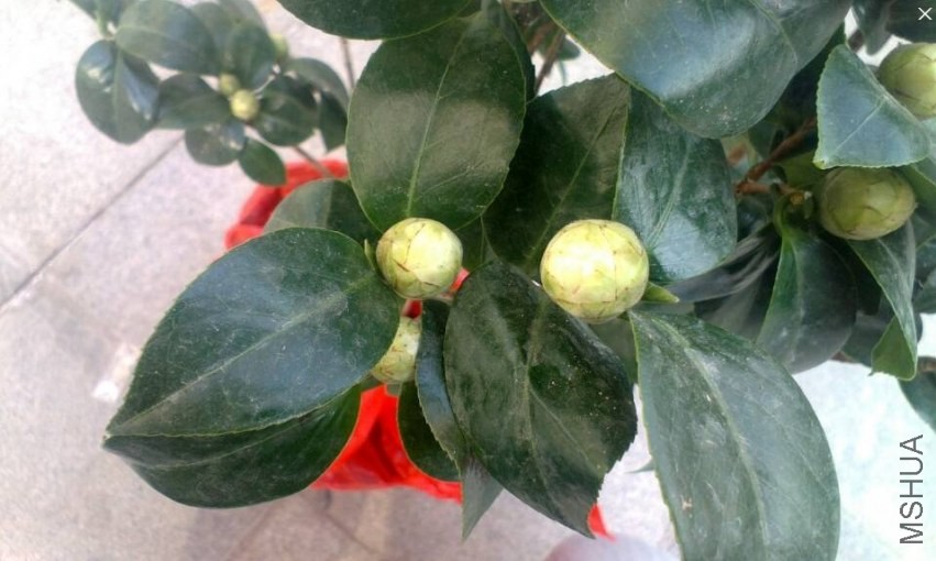 QQͼƬ20131212164549.jpg