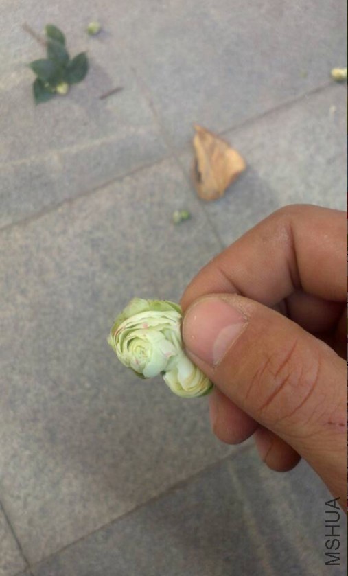 QQͼƬ20131212164711.jpg
