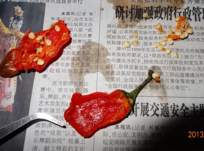 QQ��ͼ20131212224603.jpg