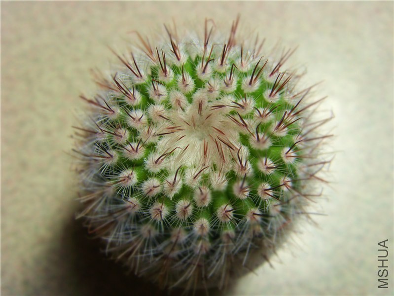 S73F0681.jpg
