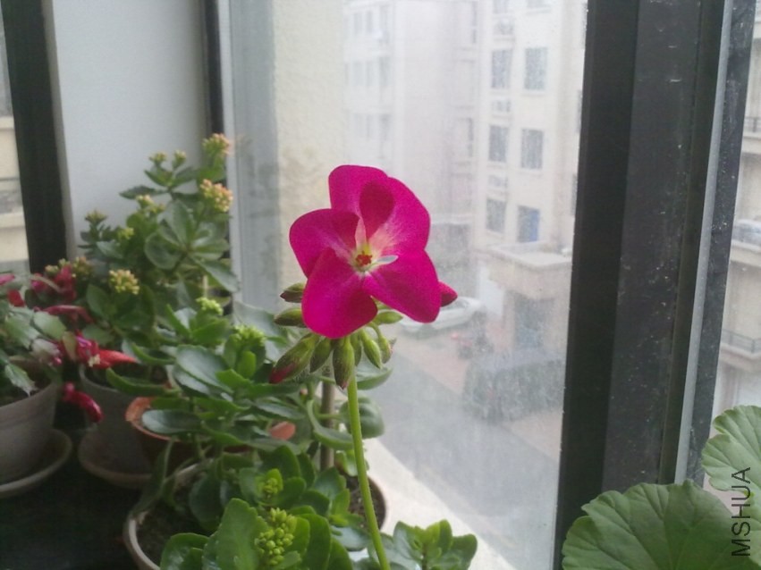 С���ֿ�һ��