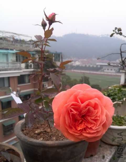 IMG_20131214_155904.jpg