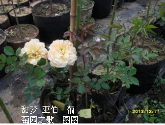 27BD65C3-5950-4413-B1DA-9E9397994CF0.jpg