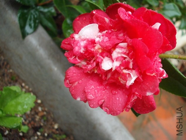 �����ͺ�ĵ��ͬ��6.7����