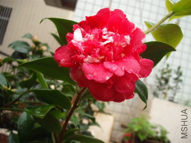 ���ͻ���û���