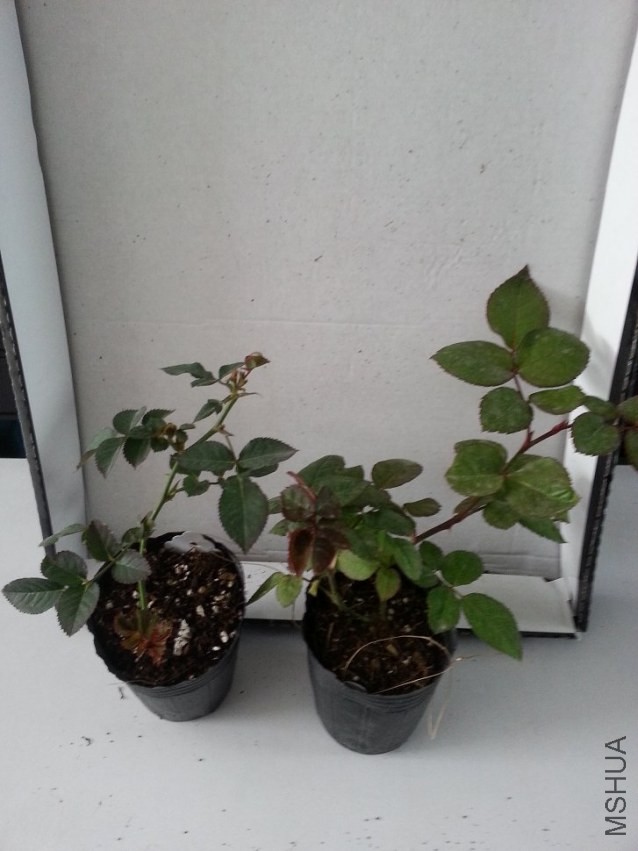 20131215_104530.jpg