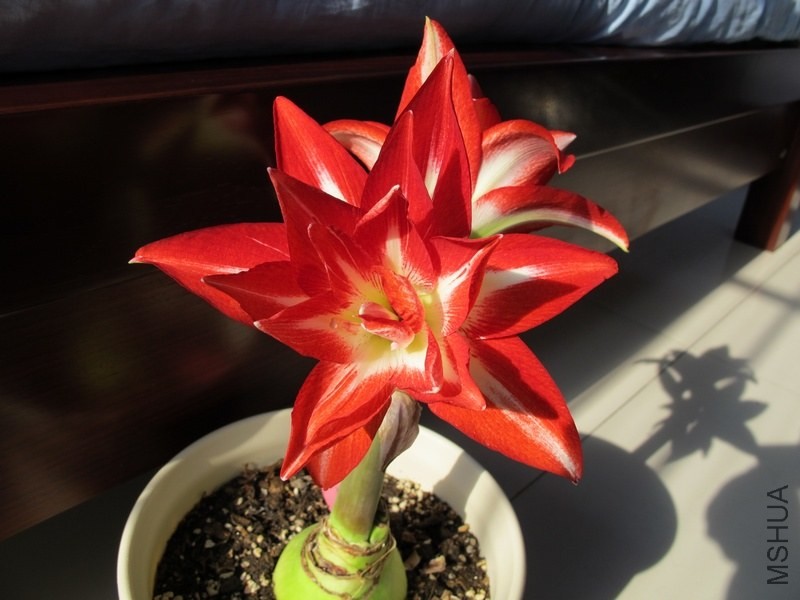 �ڶ��䣬����һ������