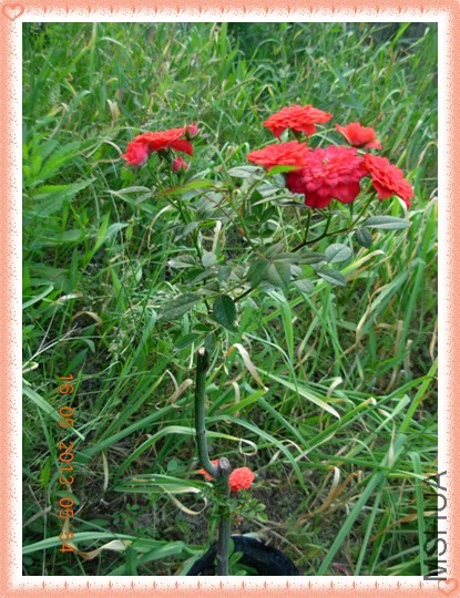 DSCN0482.jpg