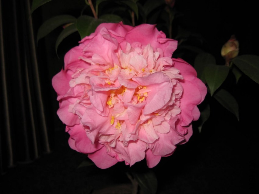 ɽ��֮�� (25).JPG