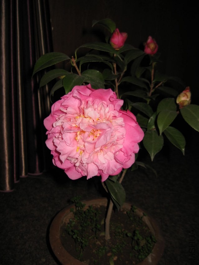 ɽ��֮�� (26).JPG