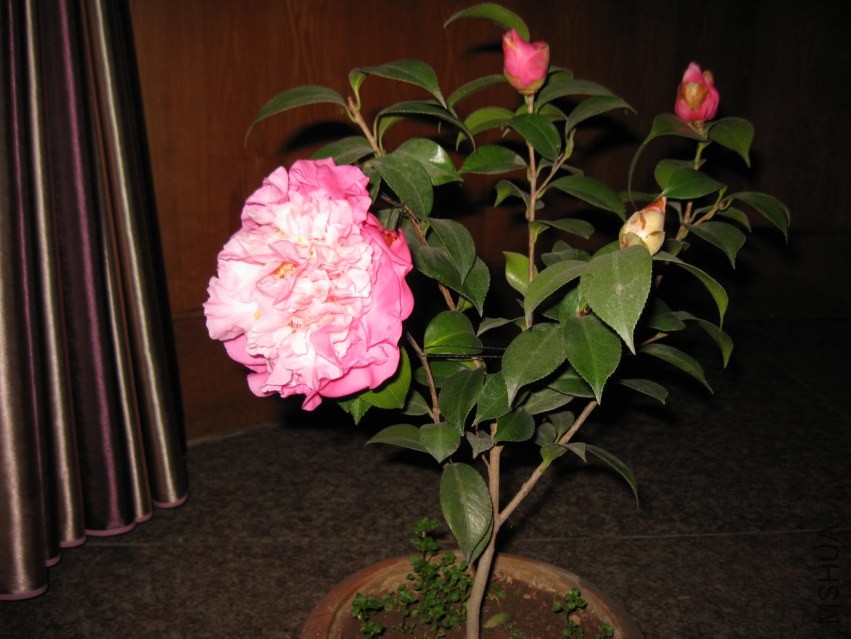 ɽ��֮�� (27).JPG