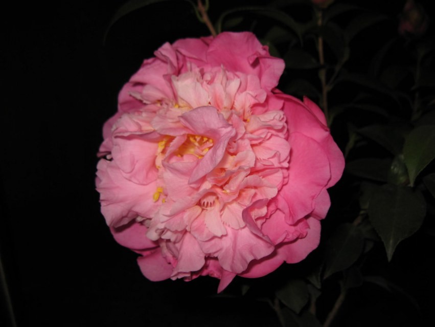 ɽ��֮�� (28).JPG