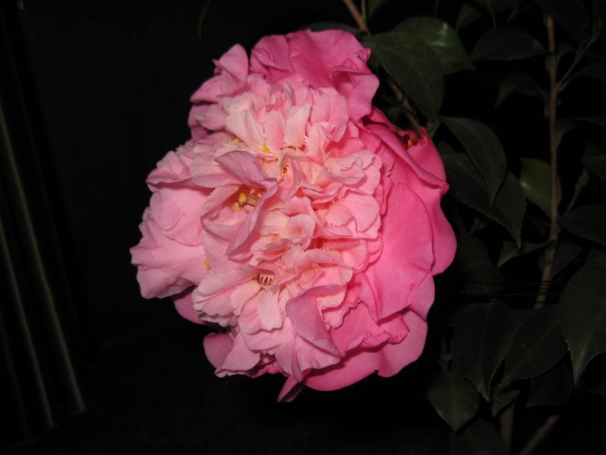 ɽ��֮�� (29).JPG