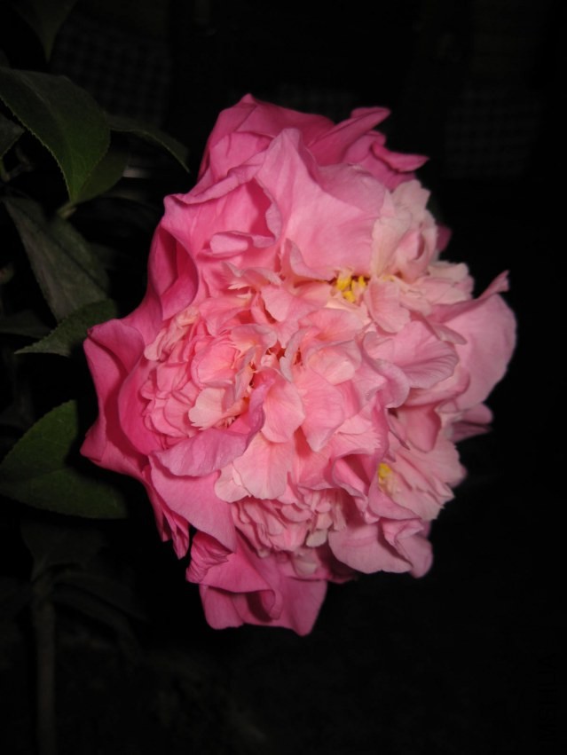 ɽ��֮�� (30).JPG